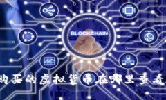 TP钱包购买的虚拟货币在哪