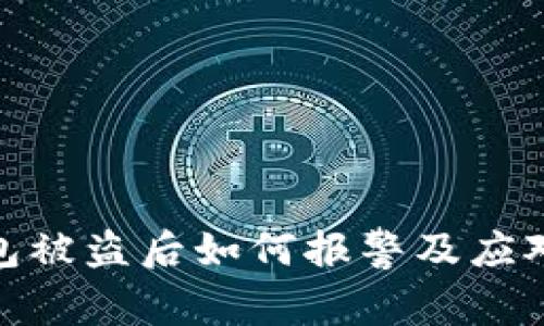 TP钱包被盗后如何报警及应对措施