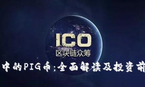 TP钱包中的PIG币：全面解读及投资前景分析