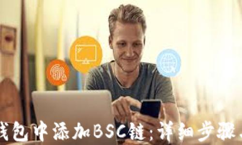 
如何在TP钱包中添加BSC链：详细步骤与操作指南