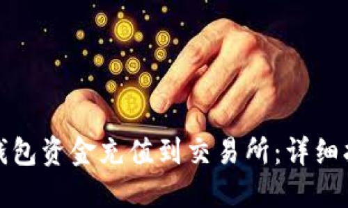 如何将TP钱包资金充值到交易所：详细指南与步骤
