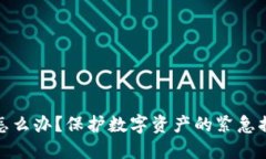 优质tp钱包被盗了怎么办？