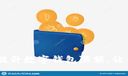 全面解析：如何有效提升数字钱包限额，让你的财务生活更便捷