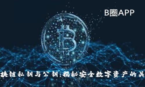 区块链私钥与公钥：揭秘安全数字资产的关键