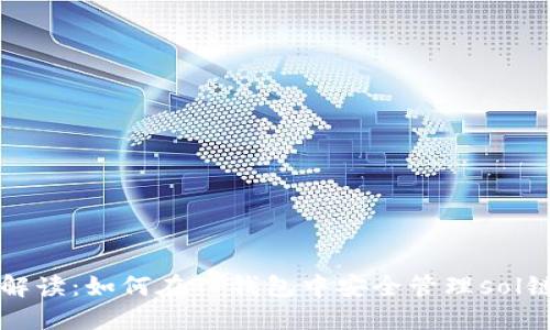 深度解读：如何在TP钱包中安全管理sol链资产