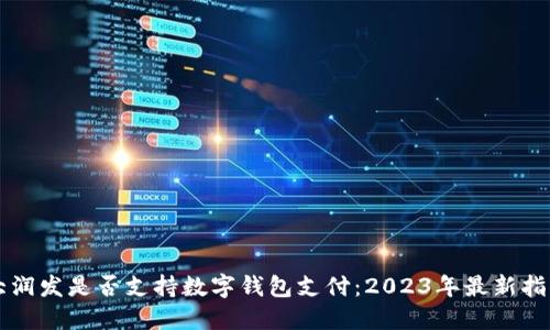 大润发是否支持数字钱包支付：2023年最新指南