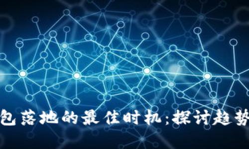 数字钱包落地的最佳时机：探讨趋势与未来