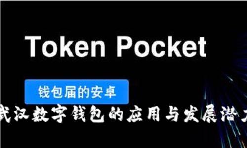武汉数字钱包的应用与发展潜力