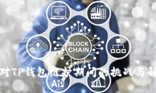 如何应对TP钱包维护期间的挑战与解决方案