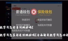 数字钱包能查到地址吗？
