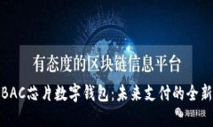 央行BAC芯片数字钱包：未