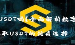 tp钱包可以收USDT吗？全面