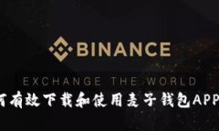 全面指南：如何有效下载