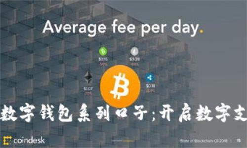 全面解读数字钱包系列口子：开启数字支付新篇章