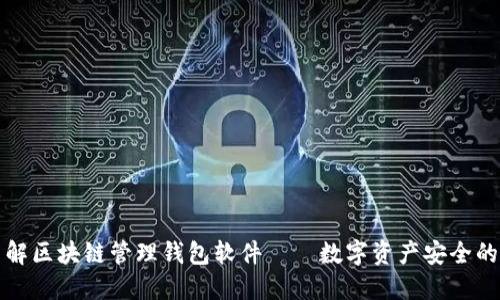 深入了解区块链管理钱包软件——数字资产安全的护航者