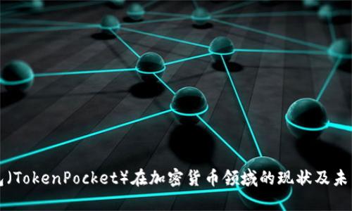 TP钱包（TokenPocket）在加密货币领域的现状及未来展望