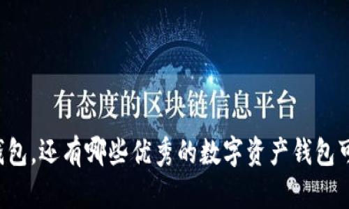 除了TP钱包，还有哪些优秀的数字资产钱包可供选择？