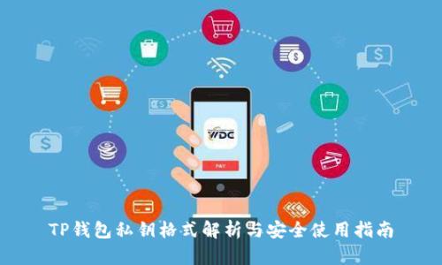 TP钱包私钥格式解析与安全使用指南