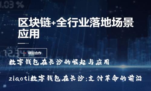 数字钱包在长沙的崛起与应用

ziaoti数字钱包在长沙：支付革命的前沿