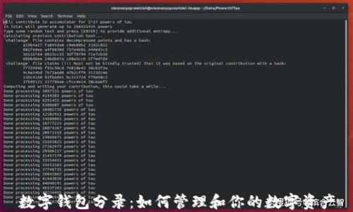 
数字钱包分录：如何管理和你的数字资产