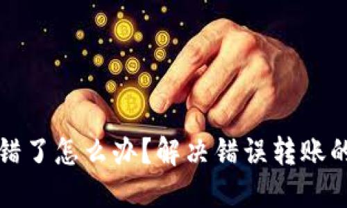TP钱包转错了怎么办？解决错误转账的实用指南