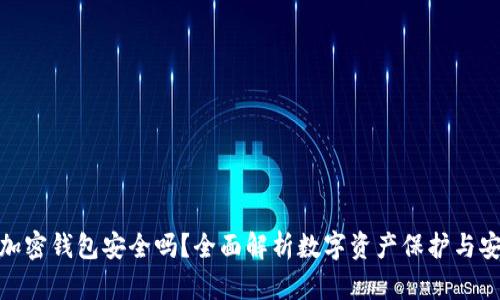 小狐狸加密钱包安全吗？全面解析数字资产保护与安全措施