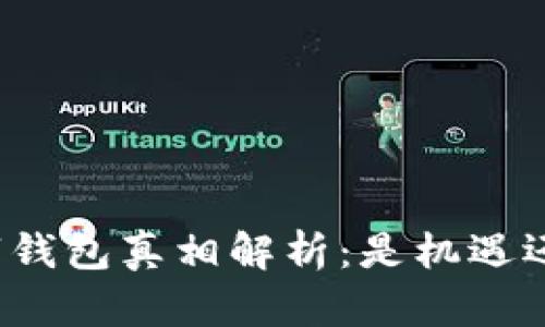 央行数字钱包真相解析：是机遇还是骗局？