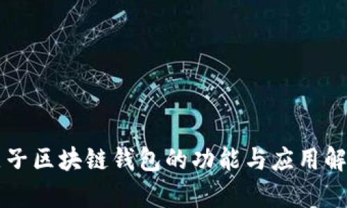 原子区块链钱包的功能与应用解析