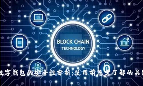 国家数字钱包的安全性分析：使用前您需了解的关键要素