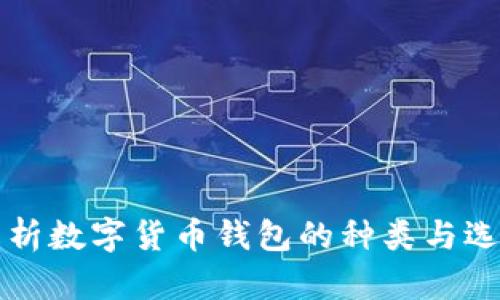 全面解析数字货币钱包的种类与选择指南