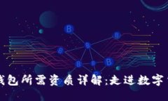 优质  开发数字钱包所需资