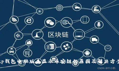 tp钱包电脑版未显示币安链的原因及解决方案