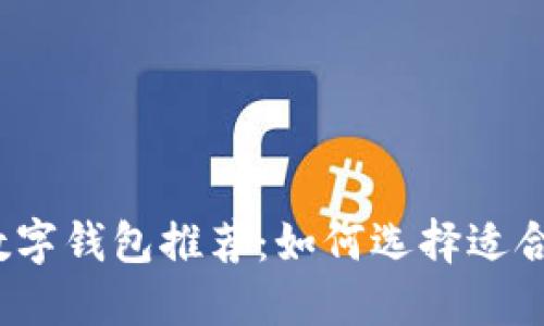 2023年最佳数字钱包推荐：如何选择适合你的数字钱包