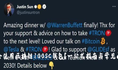 如何安全使用区块链100SC钱包？一站式指南与常见问题解答