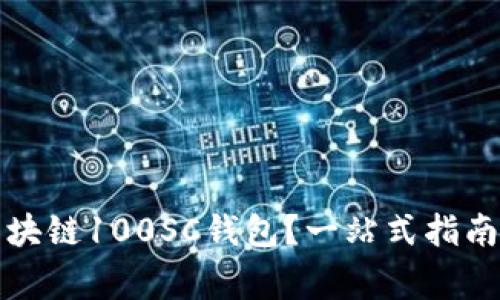 如何安全使用区块链100SC钱包？一站式指南与常见问题解答