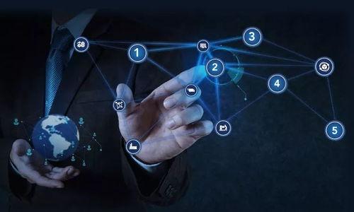 

TP钱包中购买的币如何找回合约地址？