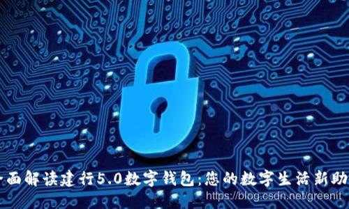 全面解读建行5.0数字钱包：您的数字生活新助手